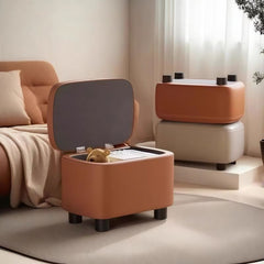 ghế Lưu trữ đẩu nhỏ gia đình nhỏ có thể ngồi đổi giày ghế đẩu phòng khách ghế sofa chân đạp phòng ng